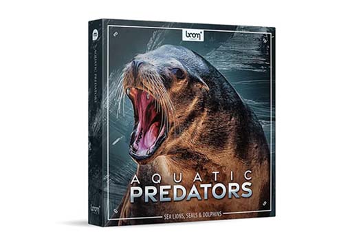 1085种海狮海豹海豚海象动物无损音效 Boom Library - Aquatic Predator
