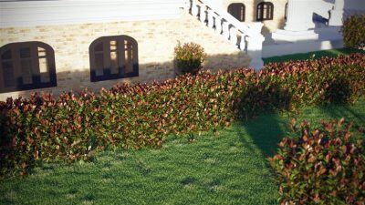 红罗宾灌木高精度3D模型 VizPark – Red Robin