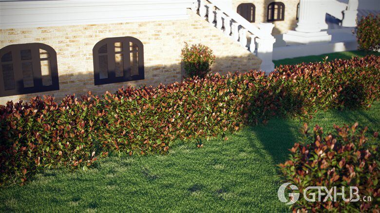 红罗宾灌木高精度3D模型 VizPark - Red Robin