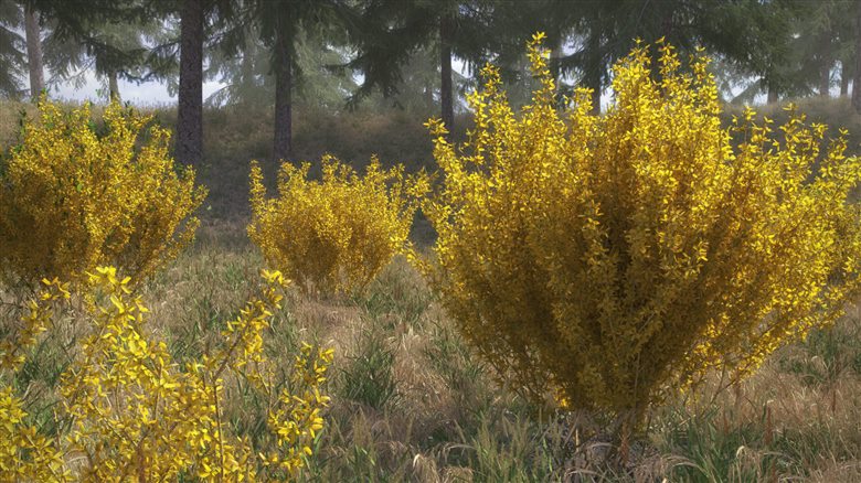 10种扫描叶子和花瓣植物和灌木3D模型 VizPark - Forsythia Bushes Set of 10 3D Shrubs