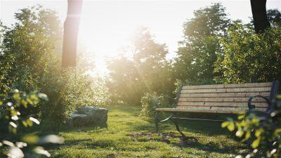 高度逼真的天然灌木和树篱3D模型 Gumroad – Bushes and Hedges