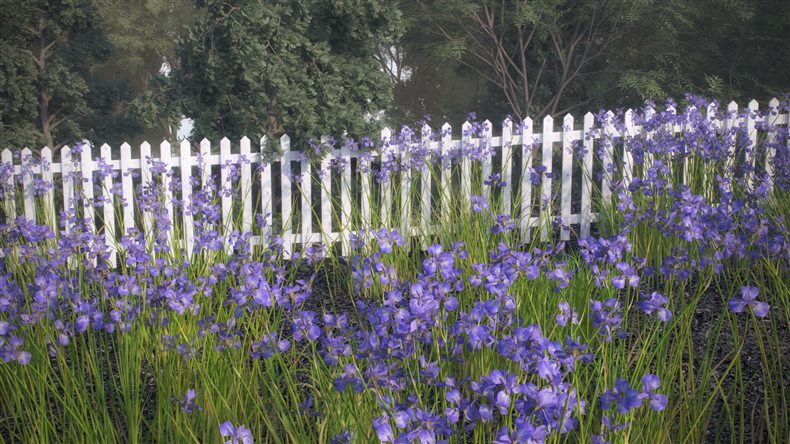 鸢尾花高精度3D模型 VizPark - Iris Flower