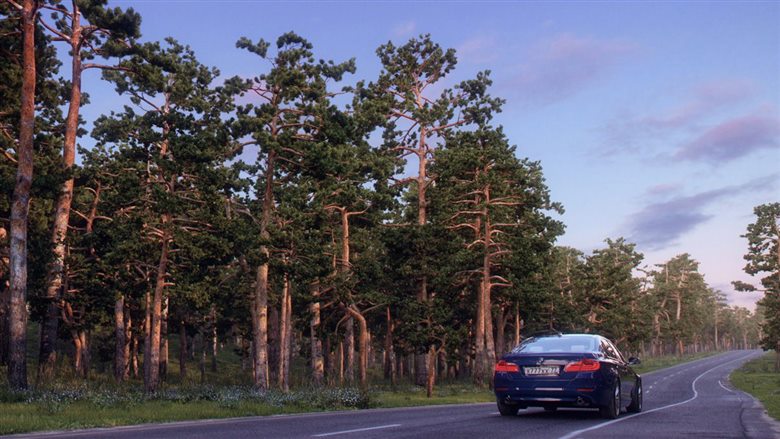 220种不同类型和大小的松树3D模型 R&D Group - iTrees Vol.5 - Pine Trees