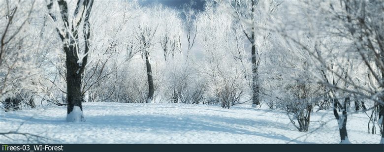 15种树木和灌木3D模型 R&D Group - iTrees Vol.3 - Winter