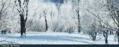 15种树木和灌木3D模型 R&D Group – iTrees Vol.3 – Winter