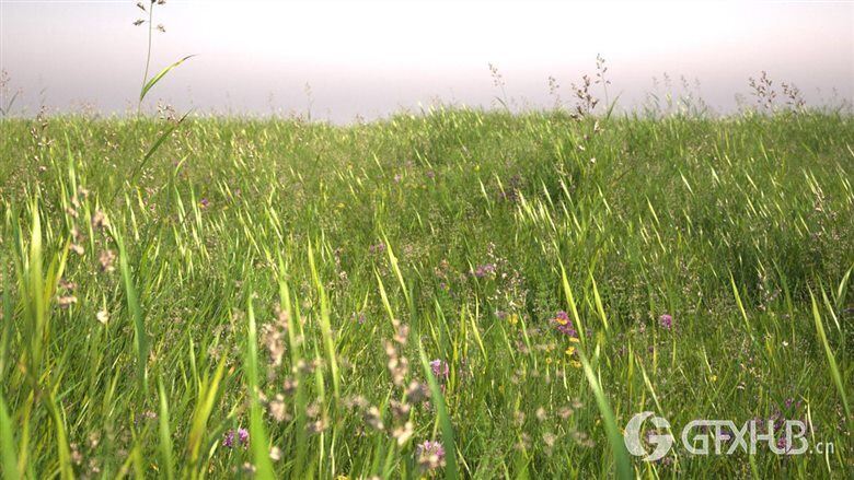 草坪田野草地3d模型 R&D Group iGrass vol.1