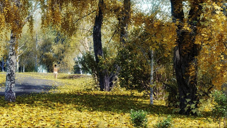 15种树木和灌木3D模型 R&D Group - iTrees vol. 1 Autumn