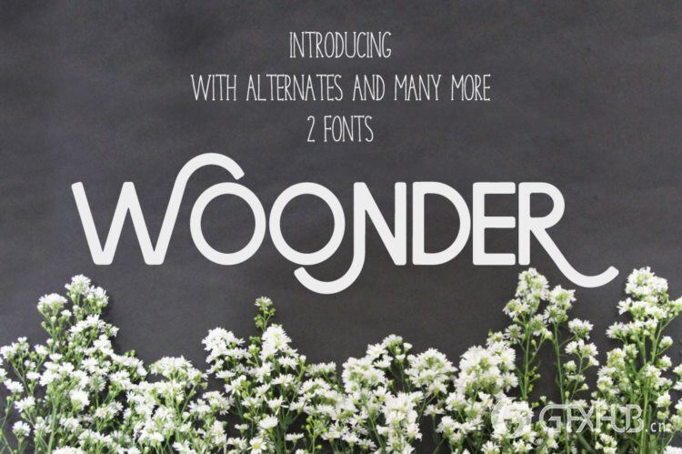 16300合1图形素材巨型套装 16300 in 1 - GRAPHIC GIANT BUNDLE