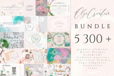 5300多种花卉字母组合图案插画画笔徽标模板图标水彩画等图形元素 5300 in 1 – Graphic Bundle