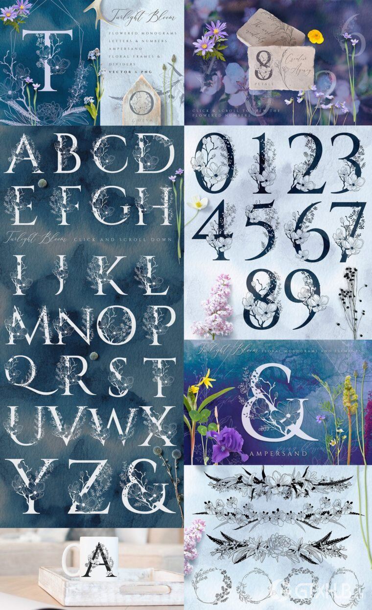 5300多种花卉字母组合图案插画画笔徽标模板图标水彩画等图形元素 5300 in 1 - Graphic Bundle