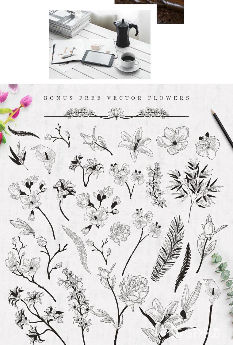 5300多种花卉字母组合图案插画画笔徽标模板图标水彩画等图形元素 5300 in 1 - Graphic Bundle