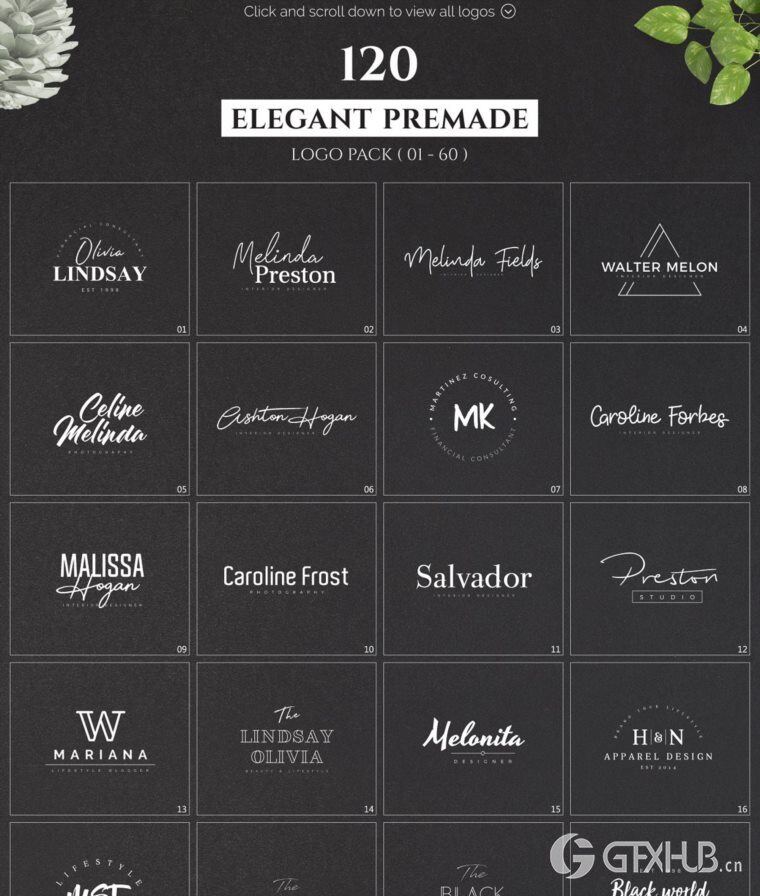 640个预制logo商标超级捆绑包 640 Premade Logos Mega Bundle