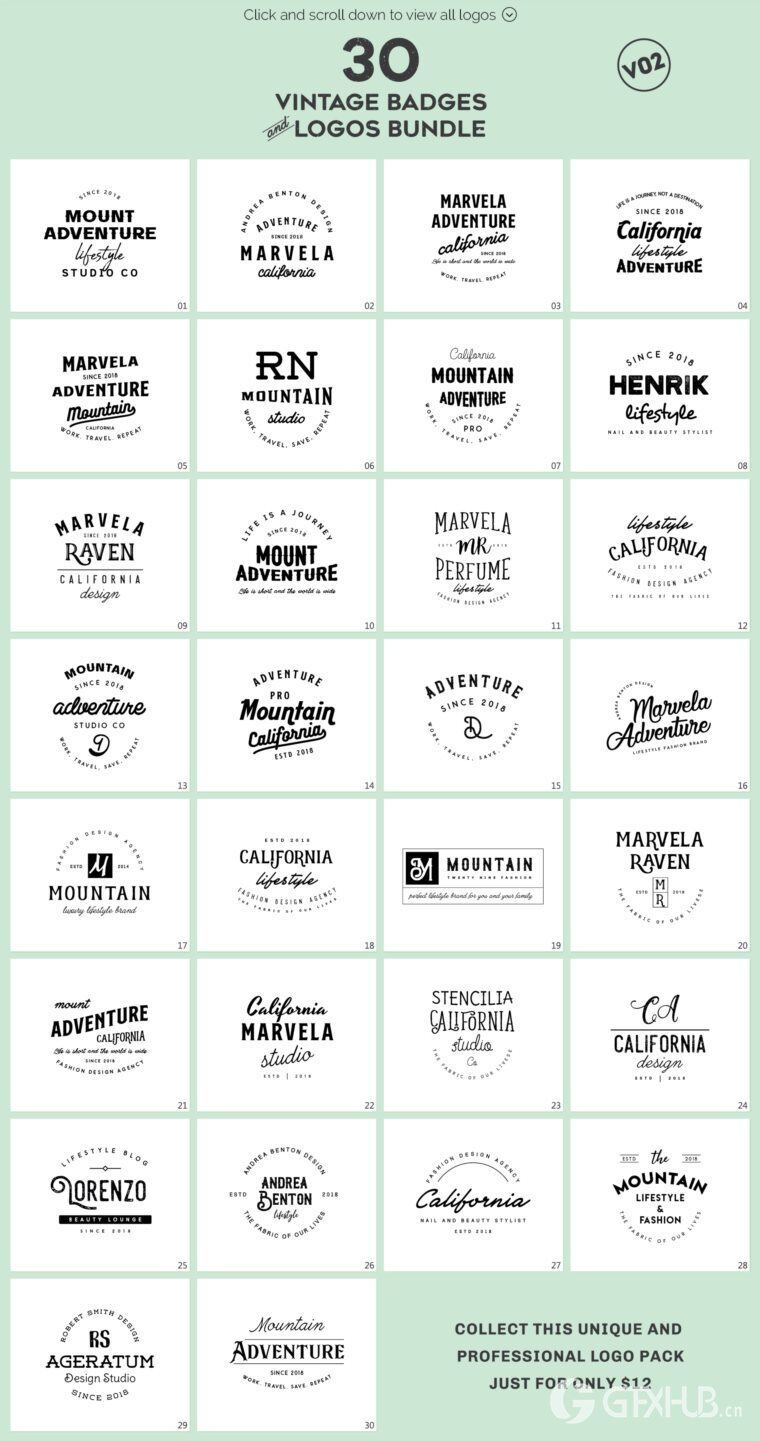 640个预制logo商标超级捆绑包 640 Premade Logos Mega Bundle