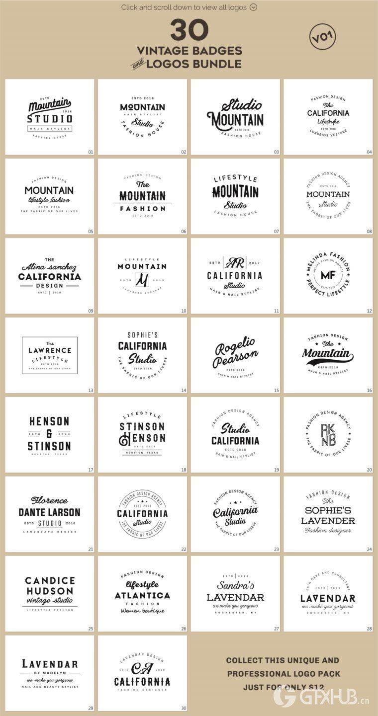 640个预制logo商标超级捆绑包 640 Premade Logos Mega Bundle