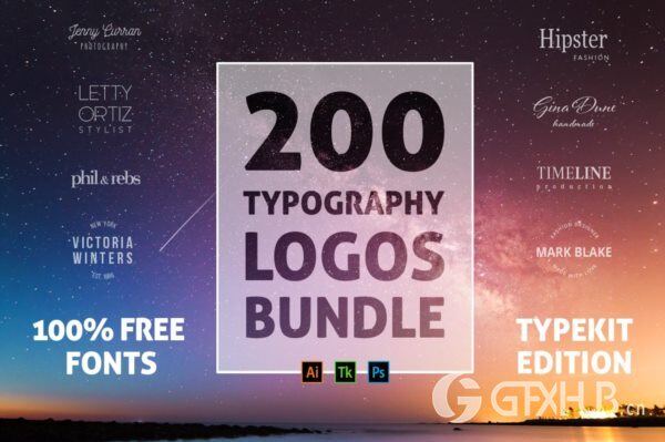 200个版式商标合辑包 200 Typography Logos Bundle