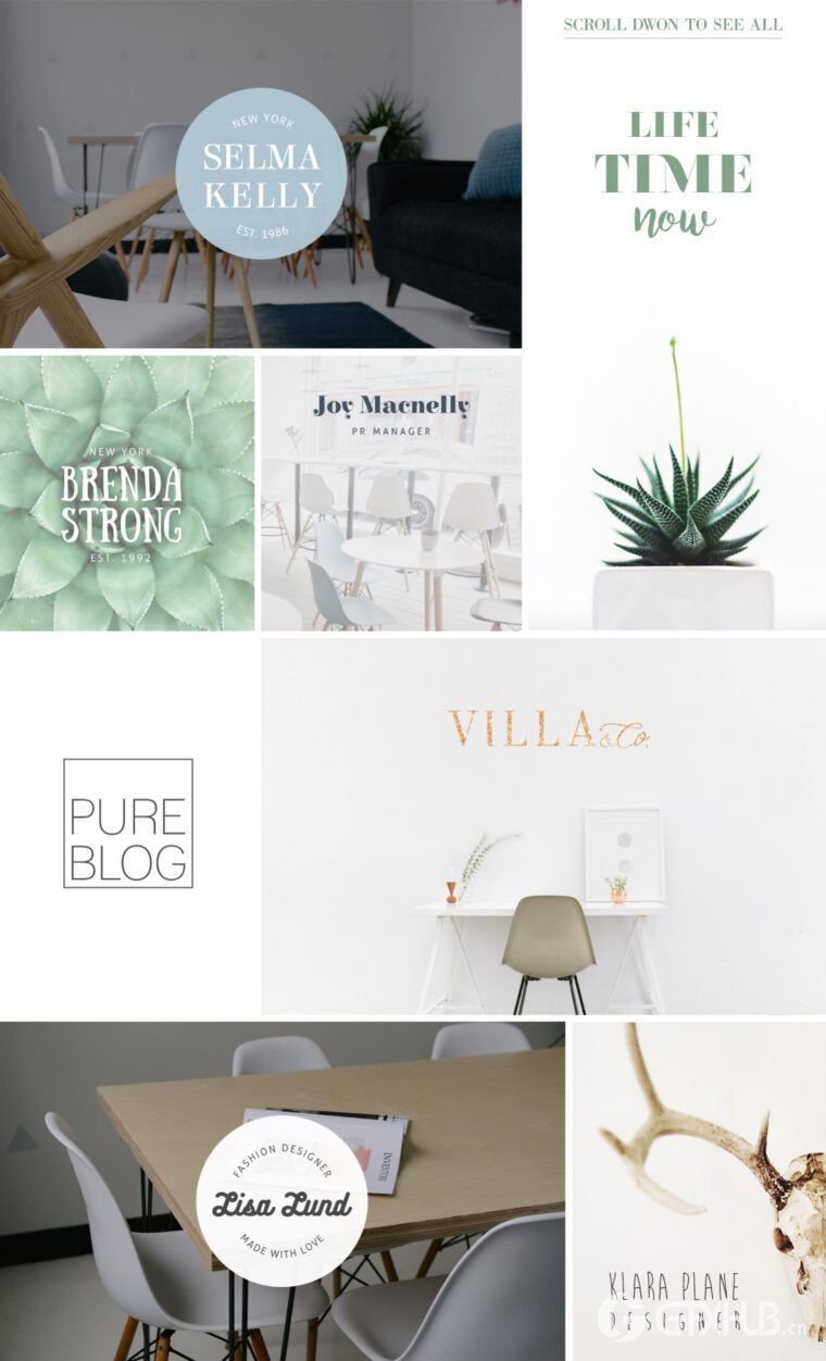 200个版式商标合辑包 200 Typography Logos Bundle