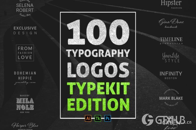 200个版式商标合辑包 200 Typography Logos Bundle