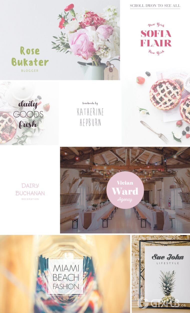 200个版式商标合辑包 200 Typography Logos Bundle