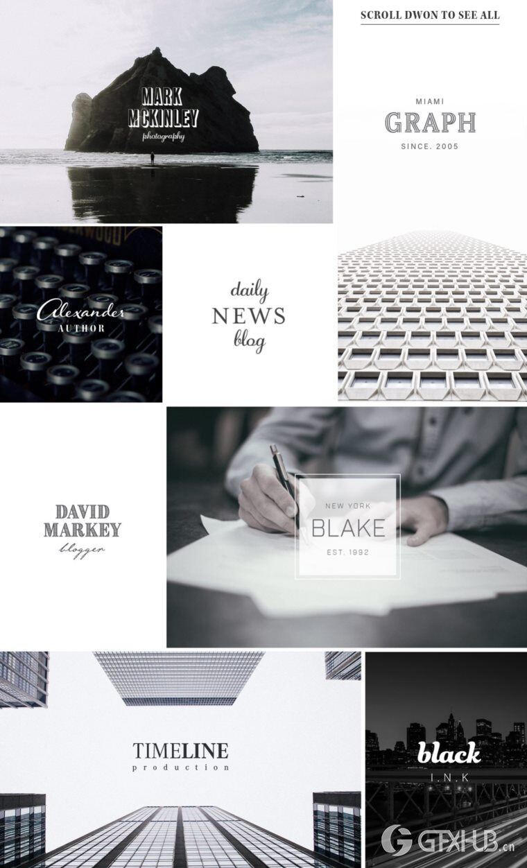 200个版式商标合辑包 200 Typography Logos Bundle