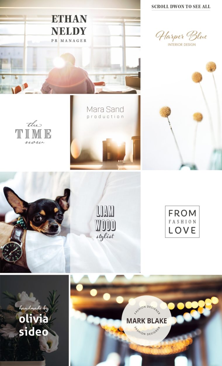 200个版式商标合辑包 200 Typography Logos Bundle