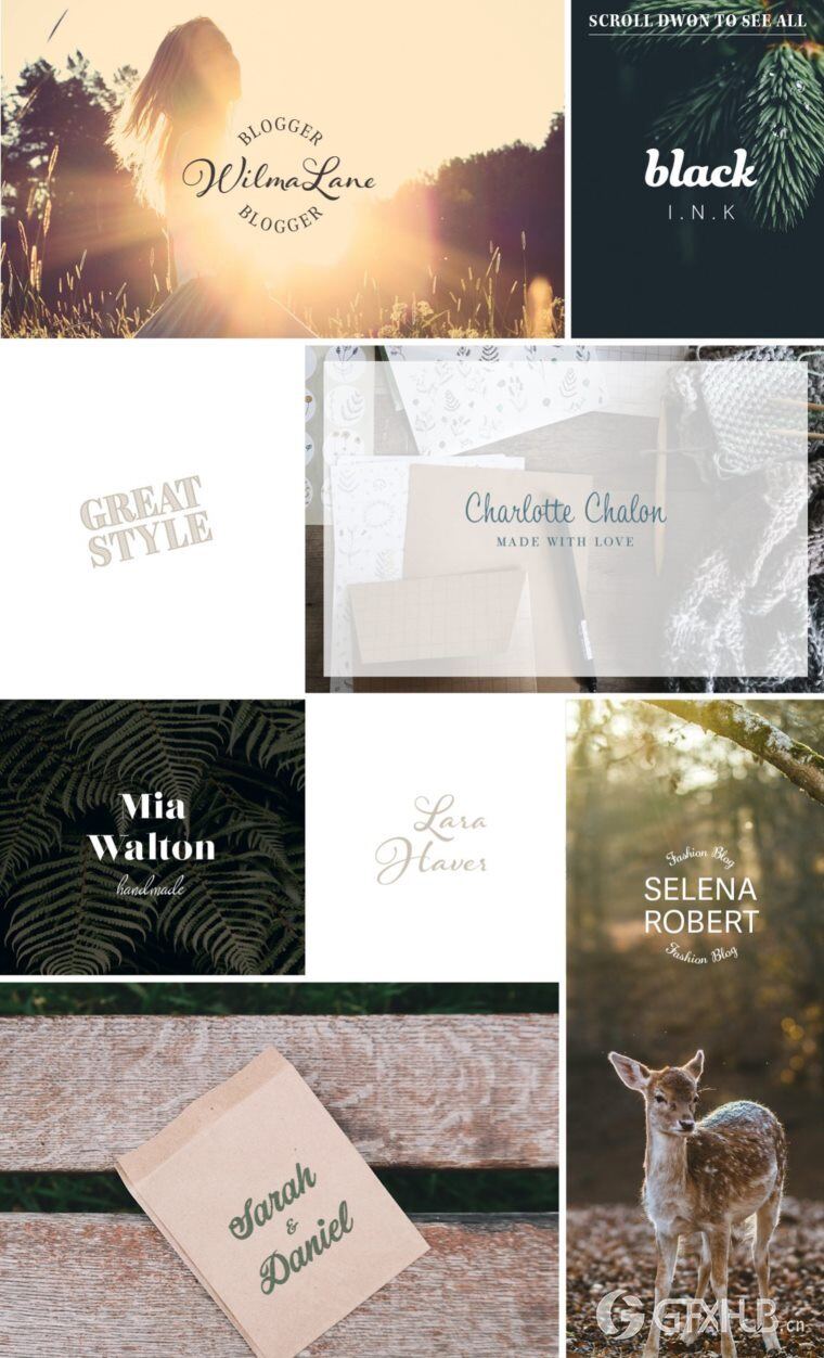 200个版式商标合辑包 200 Typography Logos Bundle