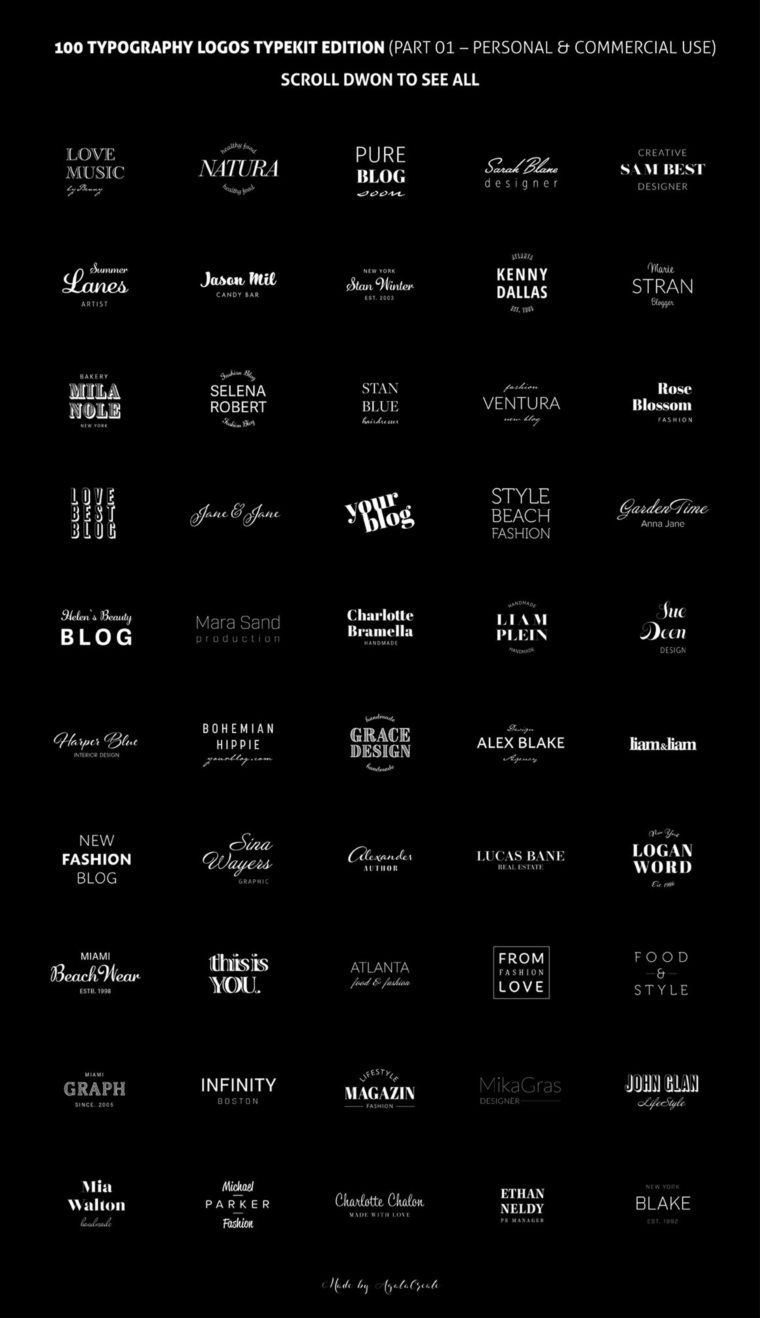 200个版式商标合辑包 200 Typography Logos Bundle