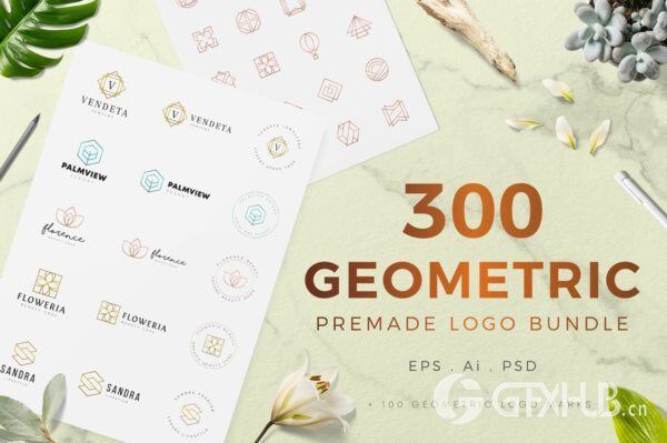 300个几何预制logo标志合辑包 300 Geometric Premade Logo Bundle