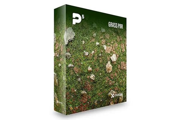 100个PBR雪覆盖干草秋叶地面等高清无缝贴图 CGAxis – Physical 5 Grass PBR Textures 4K