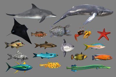 Cubebrush – Low poly Fish Collection Animated Pack 4