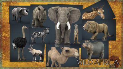 非洲野生动物3D模型 Cubebrush – Wild Africa Pack  (MAX/FBX/OBJ格式)