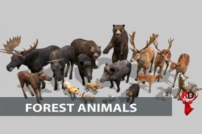 21种野生动物3D模型 FOREST ANIMALS short version Low-poly 3D models