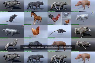 Cgtrader – Lowpoly Wild Animals Rigged 3D model Collection Pack
