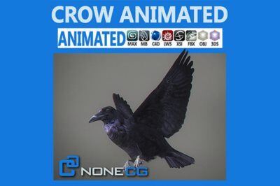 动画绑定乌鸦3D模型 Cgtrader – Animated Crow 3D model