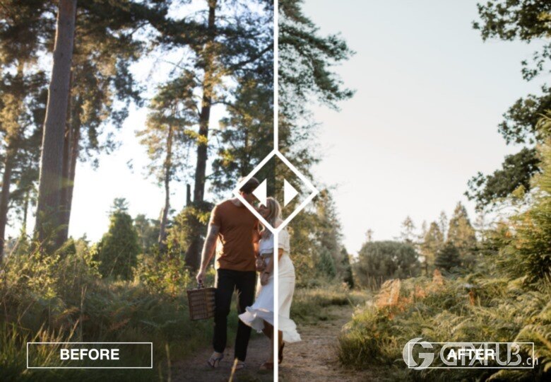 Lindsey Roman Desktop Presets 温暖、柔和和罂粟花色的预设