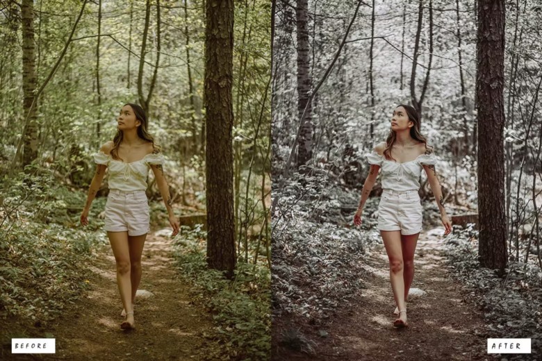 15 Earth Tones Lightroom Presets 15个大地色调Lightroom预设