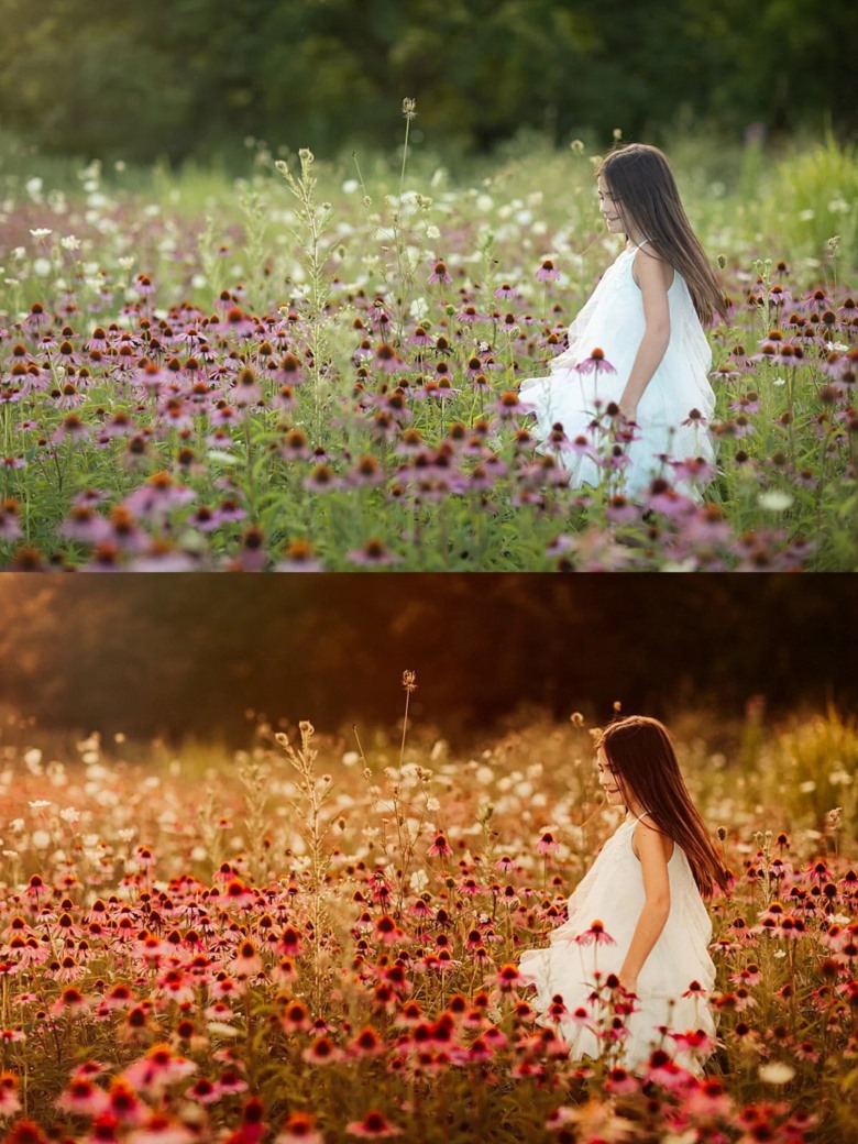 SUNKISSED & SANDY | LIGHTROOM PRESETS 73个日光浴温暖夏末秋季亲子LR预设