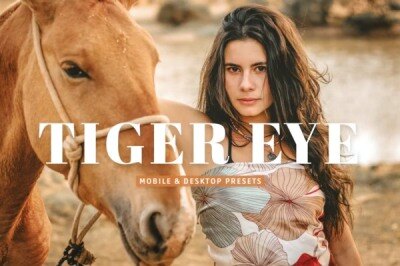 Tiger Eye Mobile & Desktop Lightroom Presets 15个人像旅拍LR预设