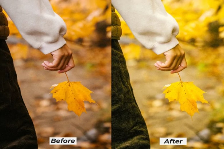 Hello Yellow lightroom presets for desktop and mobile 8种黄色色调LR预设