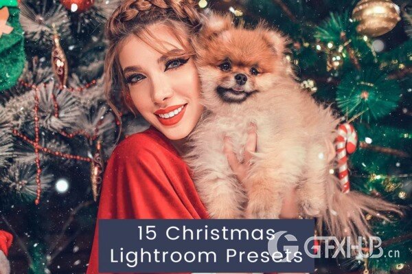 15 Christmas Lightroom Presets 15个圣诞Lightroom预设