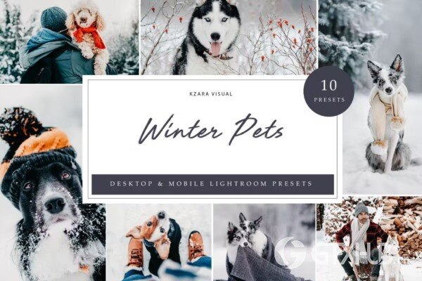 10 x Lightroom Presets, Winter Pets Presets 冬季宠物LR预设