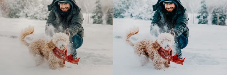10 x Lightroom Presets, Winter Pets Presets 冬季宠物LR预设