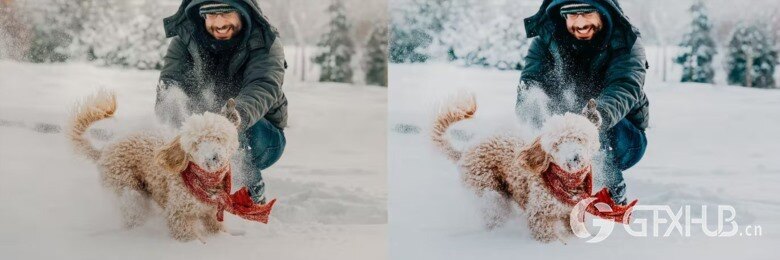 10 x Lightroom Presets, Winter Pets Presets 冬季宠物LR预设