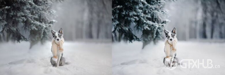 10 x Lightroom Presets, Winter Pets Presets 冬季宠物LR预设