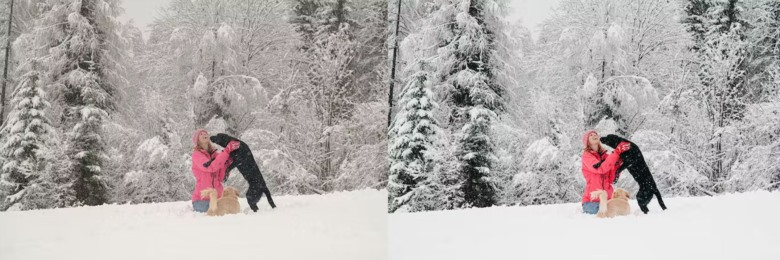 10 x Lightroom Presets, Winter Pets Presets 冬季宠物LR预设