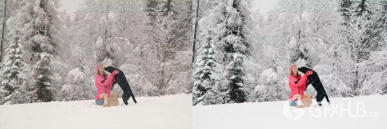 10 x Lightroom Presets, Winter Pets Presets 冬季宠物LR预设