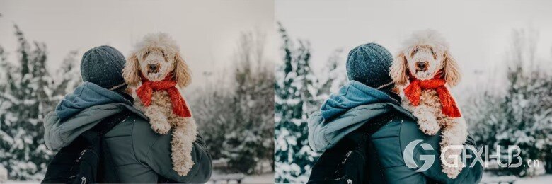 10 x Lightroom Presets, Winter Pets Presets 冬季宠物LR预设