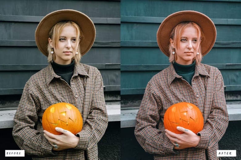 15 Halloween Lightroom Preset 15个万圣节Lightroom预设