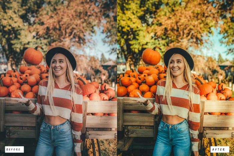 15 Halloween Lightroom Preset 15个万圣节Lightroom预设