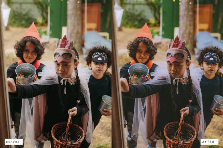 15 Halloween Lightroom Preset 15个万圣节Lightroom预设