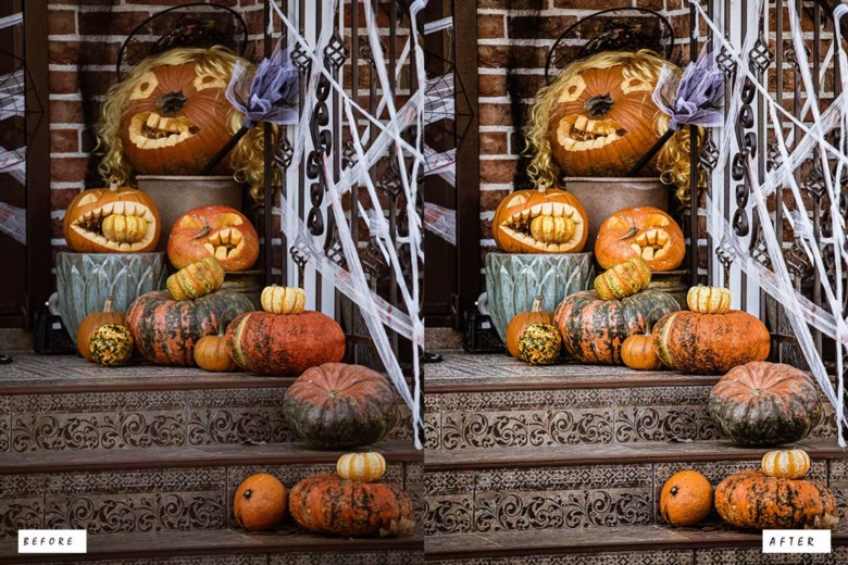 15 Halloween Lightroom Preset 15个万圣节Lightroom预设